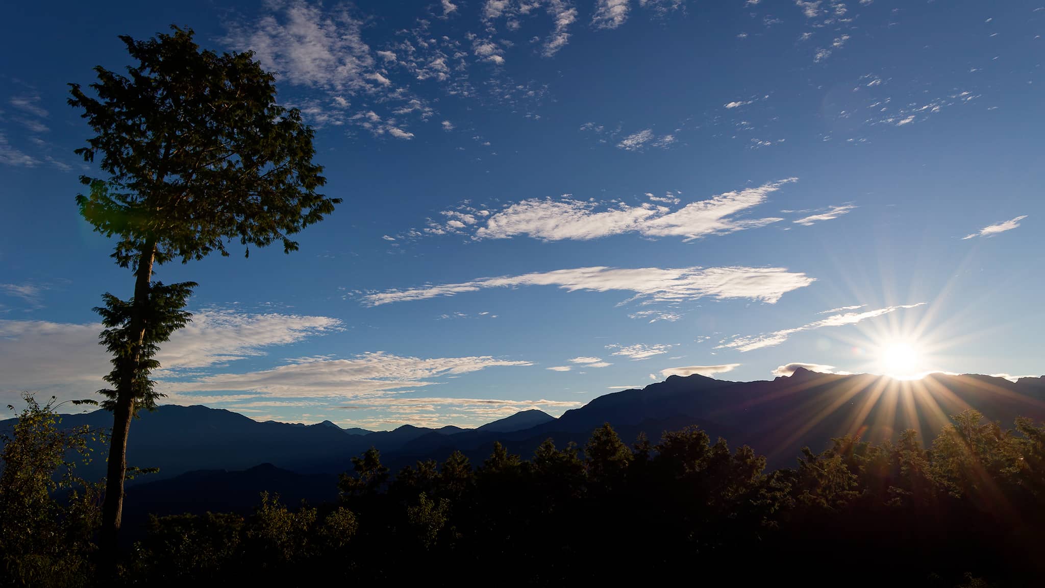 05 - Alishan (86).jpg